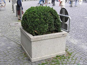 Zum Vergrößern Klicken