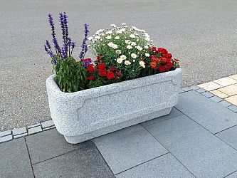 Zum Vergrößern Klicken