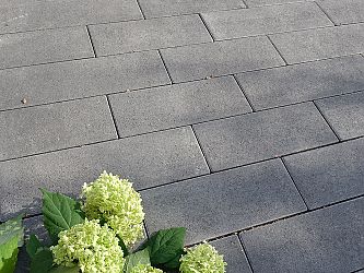 Zum Vergrößern Klicken
