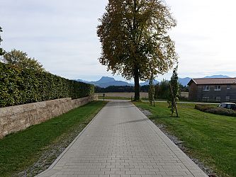 Zum Vergrößern Klicken